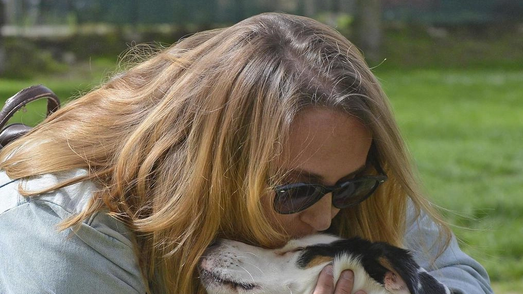Trekking a Scandicci per amici a quattro zampe: appuntamento domenica con Trekking in Città, iniziativa per scoprire il territorio e promuovere la socializzazione cane-conduttore. Prenotazioni al numero indicato. Trekking a Scandicci per amici a quattro zampe: appuntamento domenica con Trekking in Città, iniziativa per scoprire il territorio e promuovere la socializzazione cane-conduttore. Prenotazioni al numero indicato.