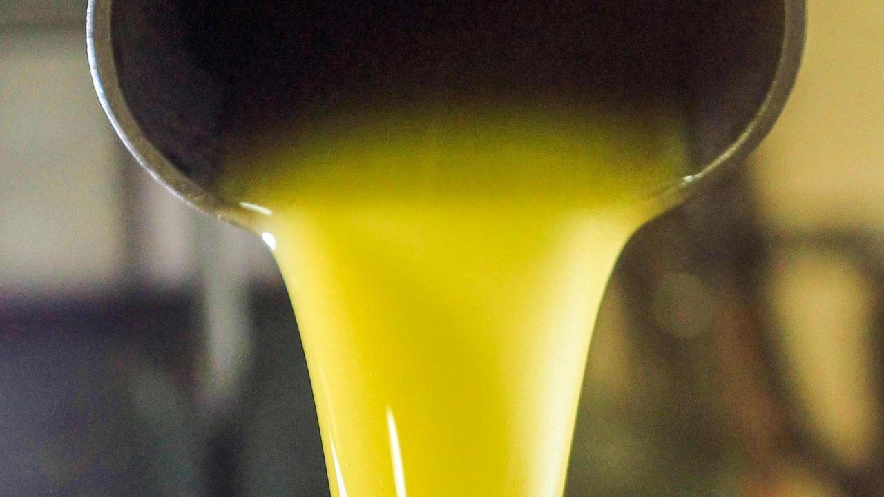 Prodotti tipici locali in primo piano oggi, dalle 10 alle 18, in piazza del Popolo nell’ambito del Mercato della Terra. Dodici le aziende presenti che propongono le loro bontà Prodotti tipici locali in primo piano oggi, dalle 10 alle 18, in piazza del Popolo nell’ambito del Mercato della Terra. Dodici le aziende presenti che propongono le loro bontà