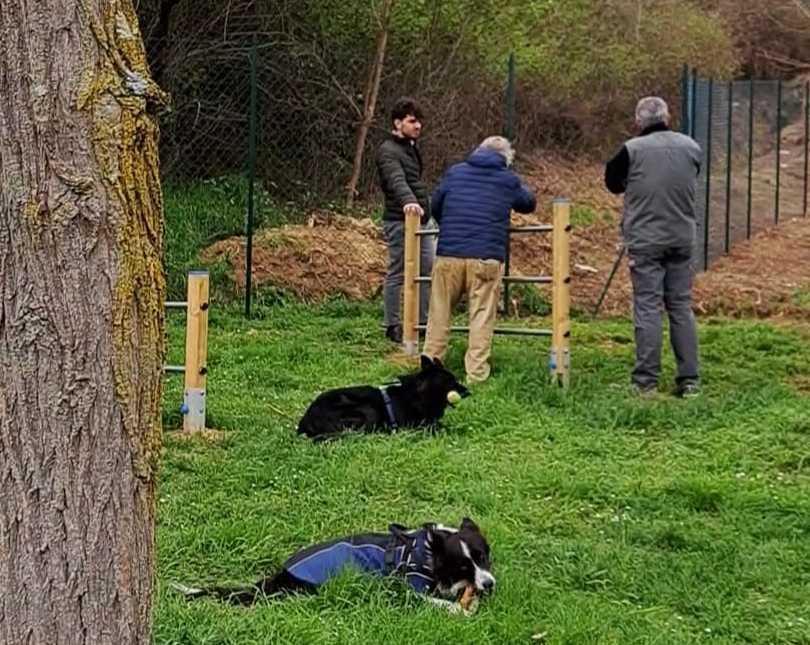 https://www.lanazione.it/image-service/view/acePublic/alias/contentid/MjNmNGMxYWYtYTFhNC00/0/area-di-sgambamento-individuata-nuova-zona-al-parco-della-magione.jpeg?f=1.90:1&w=1200