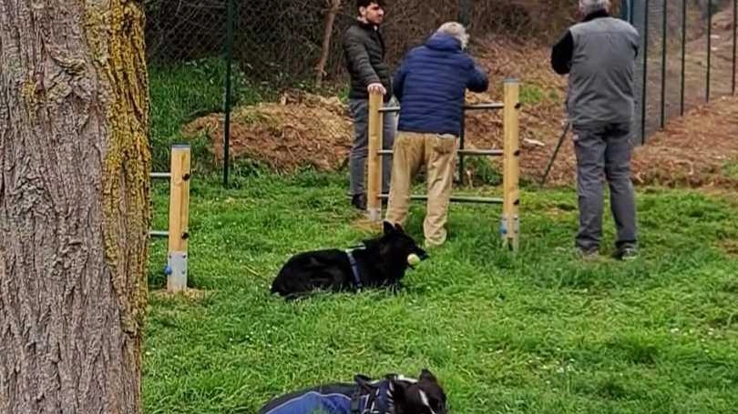 Una nuova area di sgambamento per cani in futuro sorgerà nel Parco della Magione Una nuova area di sgambamento per cani in futuro sorgerà nel Parco della Magione