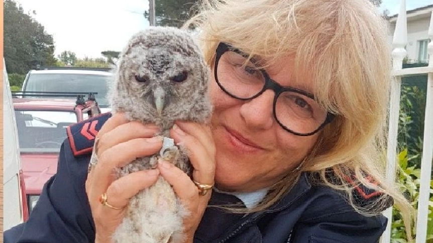 Anna Lucarini aveva 58 anni. La vigilessa è deceduta in un incidente stradale sospetto per la Procura Anna Lucarini aveva 58 anni. La vigilessa è deceduta in un incidente stradale sospetto per la Procura