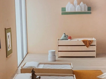 immagine articolo
