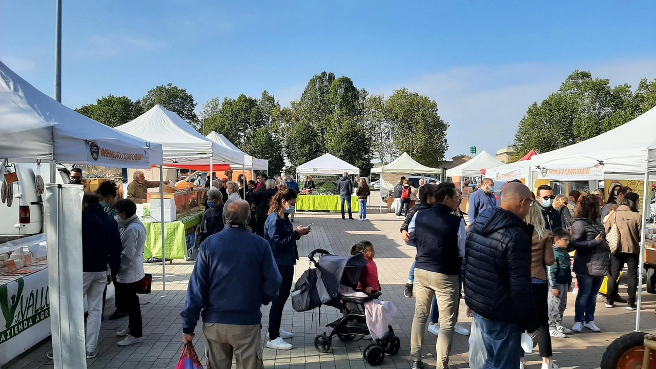 Via al nuovo mercato rionale a Bicchio con. cadenza settimanale ogni venerdì Via al nuovo mercato rionale a Bicchio con. cadenza settimanale ogni venerdì