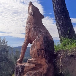 Marcenando 2025: arte, musica e solidarietà nel borgo di Marcena