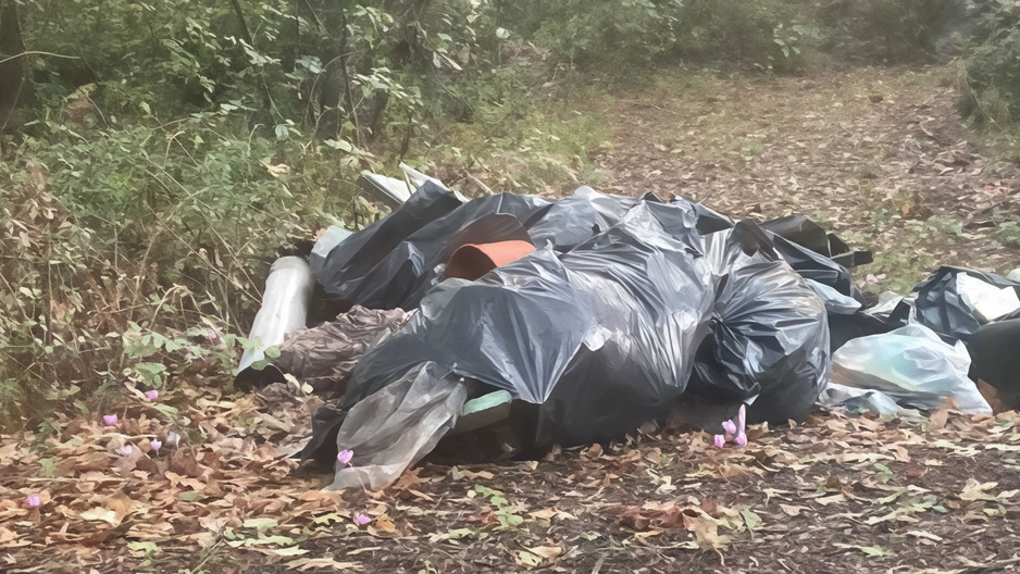 Post dopo post sui social sono segnalate criticità ed emergenze in tante zone del territorio. Nei giorni scorsi un gruppo di fungaioli si è rimboccato le maniche per contrastare il degrado. . Post dopo post sui social sono segnalate criticità ed emergenze in tante zone del territorio. Nei giorni scorsi un gruppo di fungaioli si è rimboccato le maniche per contrastare il degrado. .