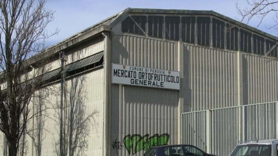 Si va avanti con la realizzazione del centro commerciale Esselunga in via Settevalli al posto dell’ex Mercato ortofrutticolo Si va avanti con la realizzazione del centro commerciale Esselunga in via Settevalli al posto dell’ex Mercato ortofrutticolo
