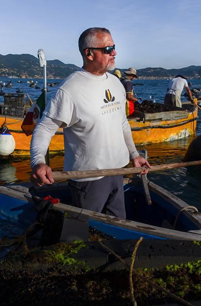 Vino al profumo del Golfo. Pronte le 25 piante di vite da alloggiare accanto ai vivai