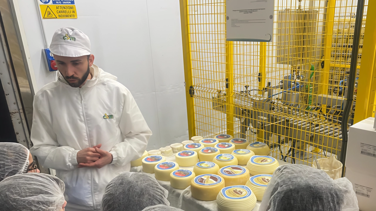 Immaginate bambini e bambine intenti a diventare per un giorno veri e propri artigiani del formaggio, tra i profumi del... Immaginate bambini e bambine intenti a diventare per un giorno veri e propri artigiani del formaggio, tra i profumi del...
