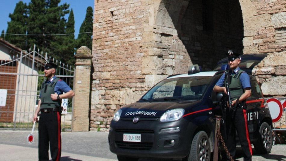 Due persone sono state denunciate per il furto di piante tartufigene in un vivaio di Spello, grazie alle immagini del circuito di videosorveglianza che hanno confermato il loro coinvolgimento. I carabinieri sono intervenuti e hanno recuperato la refurtiva del valore di oltre 400 euro. Due persone sono state denunciate per il furto di piante tartufigene in un vivaio di Spello, grazie alle immagini del circuito di videosorveglianza che hanno confermato il loro coinvolgimento. I carabinieri sono intervenuti e hanno recuperato la refurtiva del valore di oltre 400 euro.