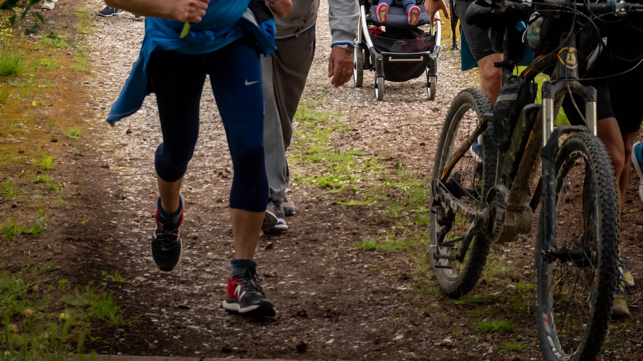 Conto alla rovescia verso la ’Porcari Corre’, alla 39esima edizione, storica manifestazione ludico-motoria organizzata dall’Atletica Porcari che si terrà domenica.... Conto alla rovescia verso la ’Porcari Corre’, alla 39esima edizione, storica manifestazione ludico-motoria organizzata dall’Atletica Porcari che si terrà domenica....