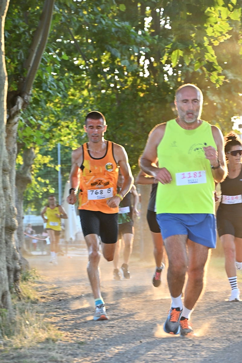 immagine di sfondo 19