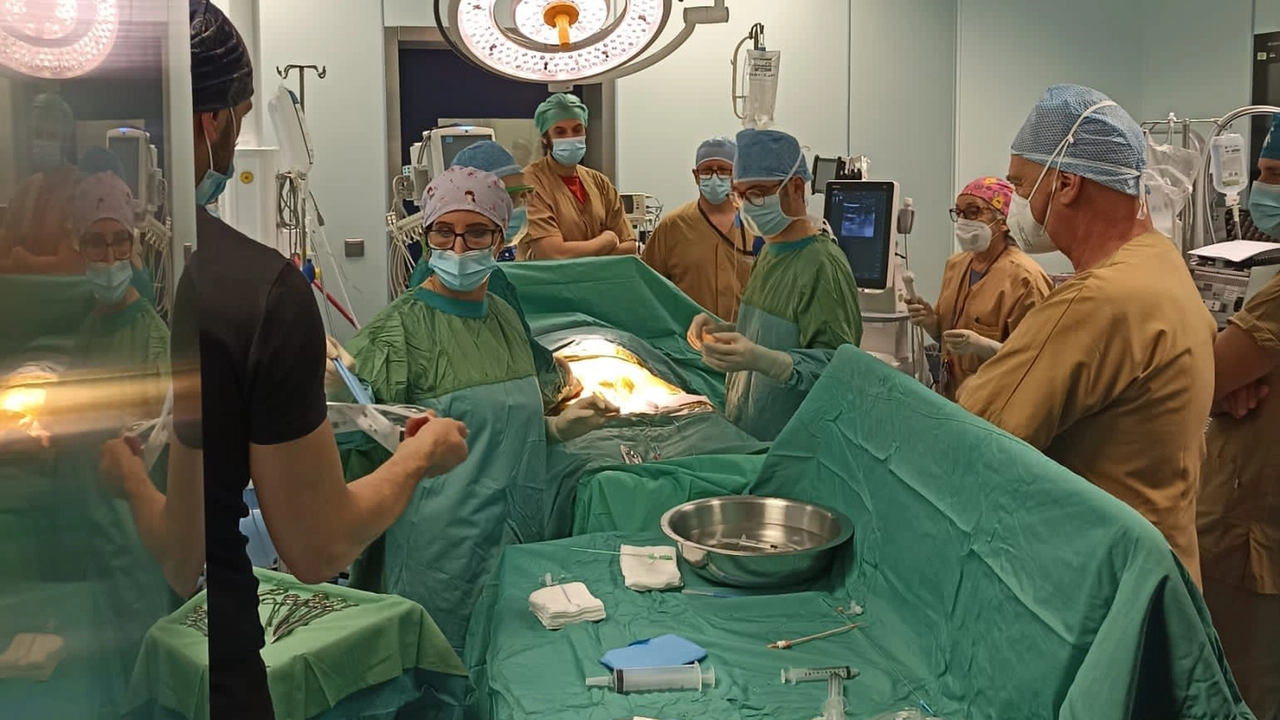 Una donazione di organi all’ospedale Apuane. Nella foto, oltre alle équipe, il direttore di Anestesia e Rianimazione Stefano Antonelli (di fianco) e il coordinatore procurement del Noa Giovanni Bassi