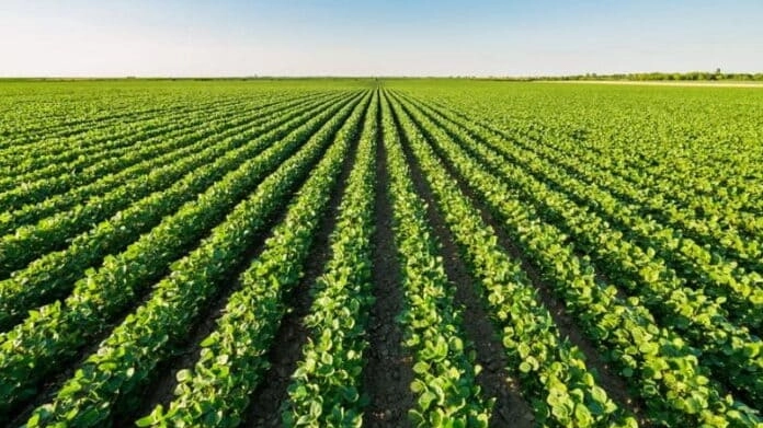 La posizione di Confagricoltura Toscana La posizione di Confagricoltura Toscana
