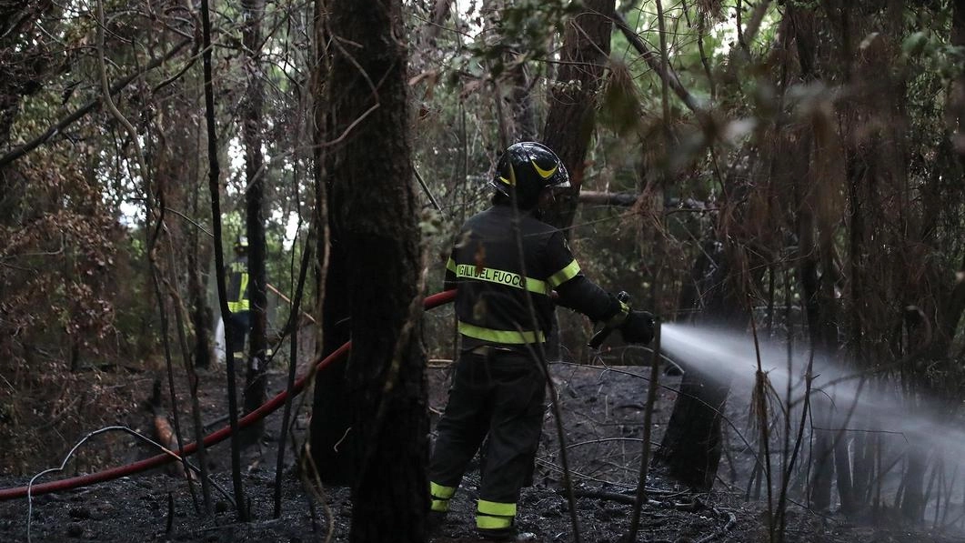 Squadre dei vigili del fuoco, elicotteri e un Canadair per spegnere l’incendio Squadre dei vigili del fuoco, elicotteri e un Canadair per spegnere l’incendio
