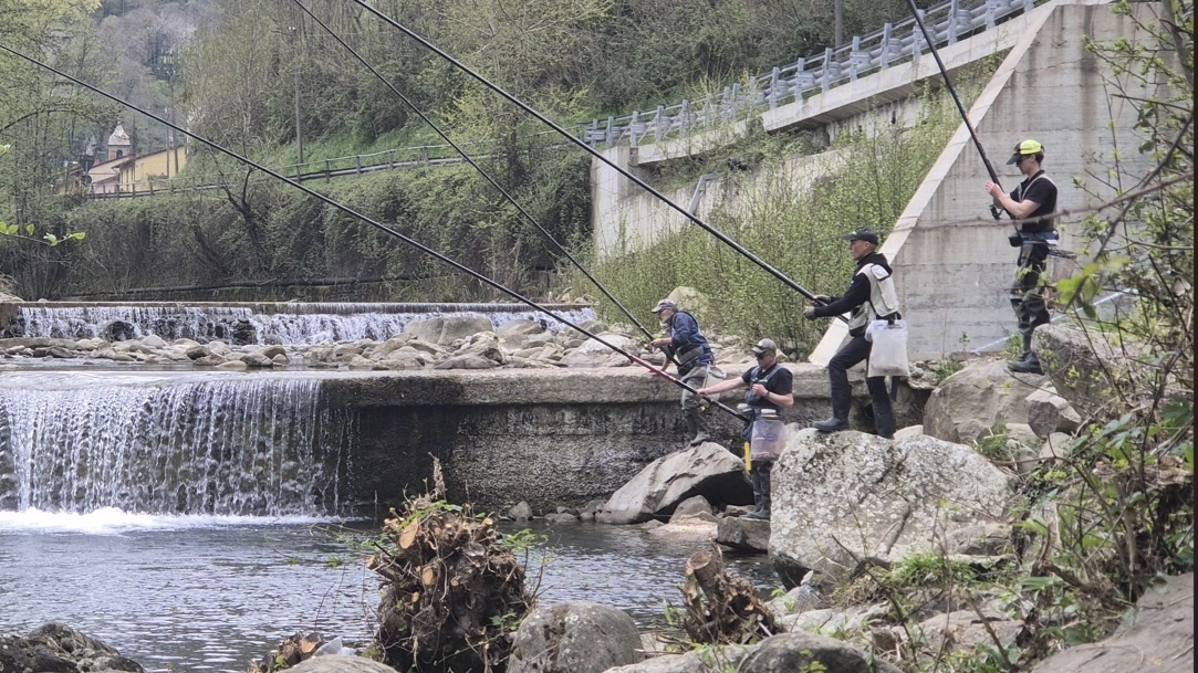 La manifestazione sportiva organizzata dall’associazione Pescatori Casentinesi-Fipsas, svoltasi nel fine settimana pre-pasquale a Castel San Niccolò