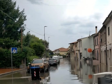 immagine articolo
