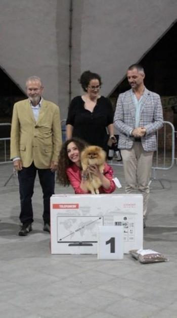 https://www.lanazione.it/image-service/view/acePublic/alias/contentid/MjY2ZjhhYTQtYTYyNS00/0/la-bellezza-e-il-carattere-sul-podio.jpeg?f=1.90:1&h=630