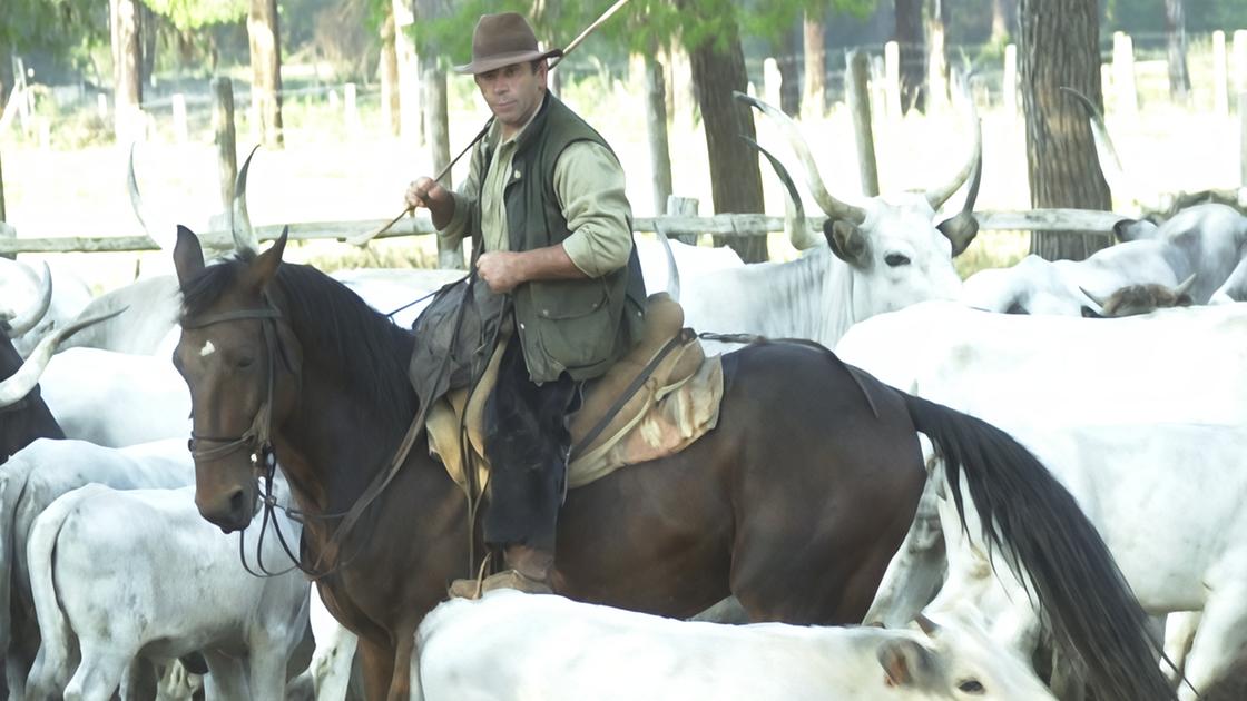 parco della maremma  mezzo secolo di storia da festeggiare    e cose da raccontare 