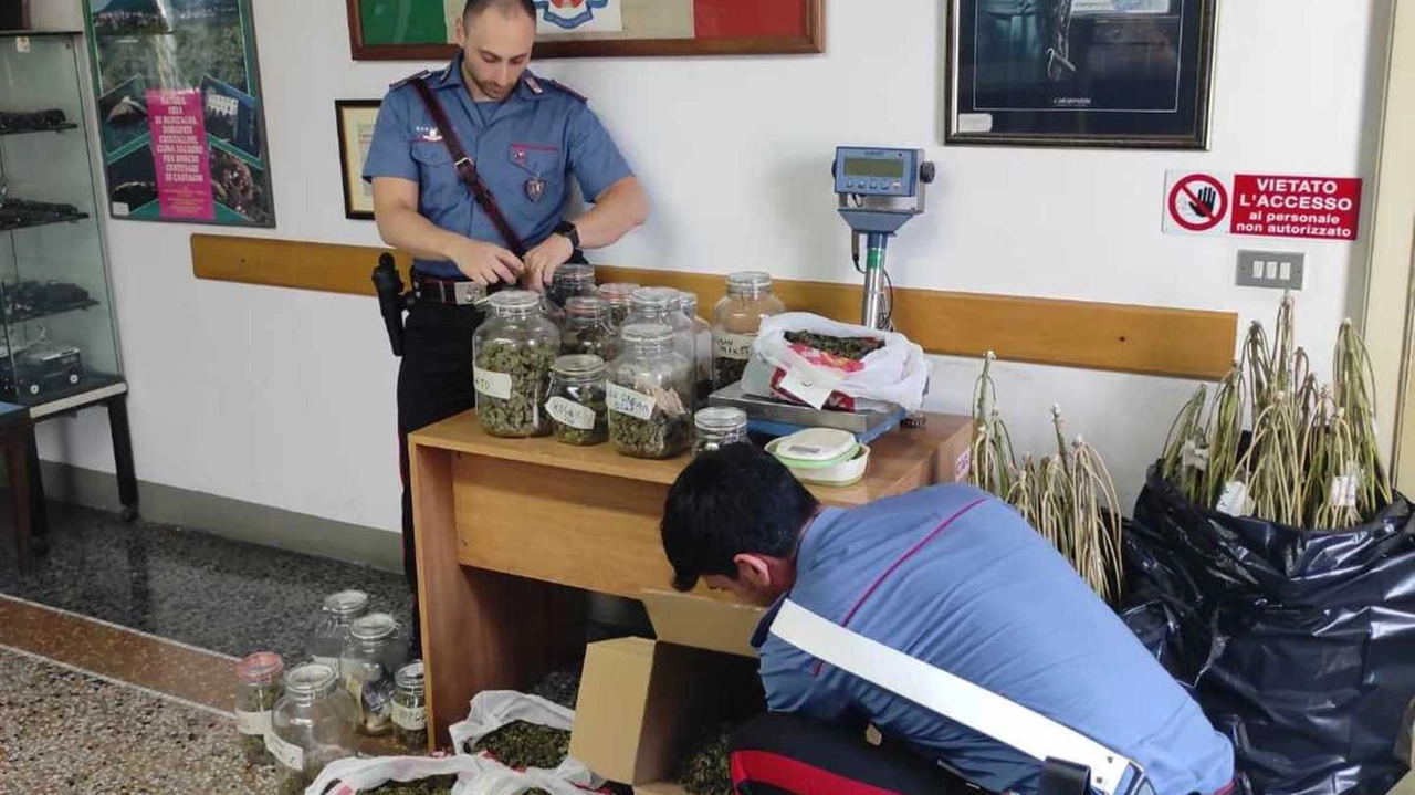 La droga sequestrata La droga sequestrata