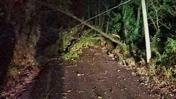La strada delle Pergolacce tra Manciano e Pitigliano è stata colpita da un violento nubifragio, che ha provocato la caduta di un albero La strada delle Pergolacce tra Manciano e Pitigliano è stata colpita da un violento nubifragio, che ha provocato la caduta di un albero