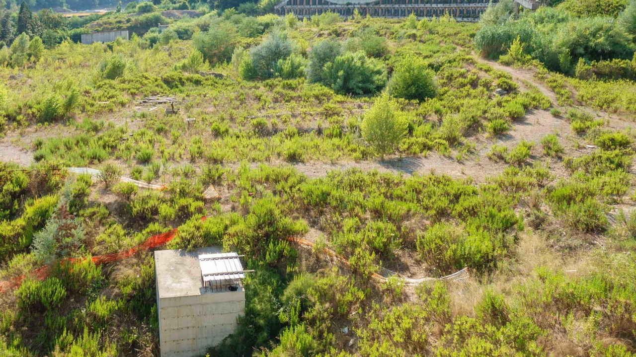 All’assessore regionale, nominato per il terzo mandato consecutivo, anche l’Edilizia ospedaliera "Al lavoro per salvaguardare il settore crocieristico. Curva Piscina coperta? Discorso aperto con i Platek". All’assessore regionale, nominato per il terzo mandato consecutivo, anche l’Edilizia ospedaliera "Al lavoro per salvaguardare il settore crocieristico. Curva Piscina coperta? Discorso aperto con i Platek".
