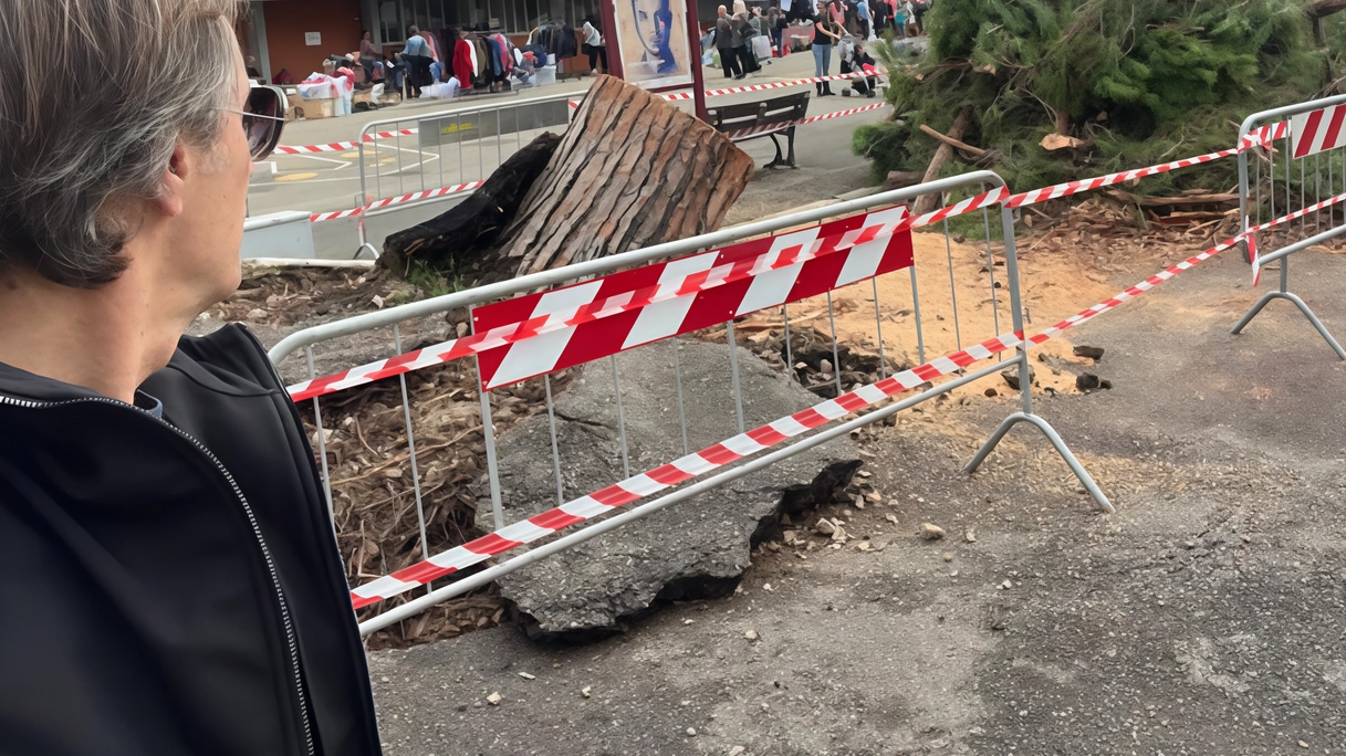 A Grosseto un pino crolla danneggiando auto, ma nessun ferito. Intervento dei vigili del fuoco per rimuovere l'albero. A Grosseto un pino crolla danneggiando auto, ma nessun ferito. Intervento dei vigili del fuoco per rimuovere l'albero.