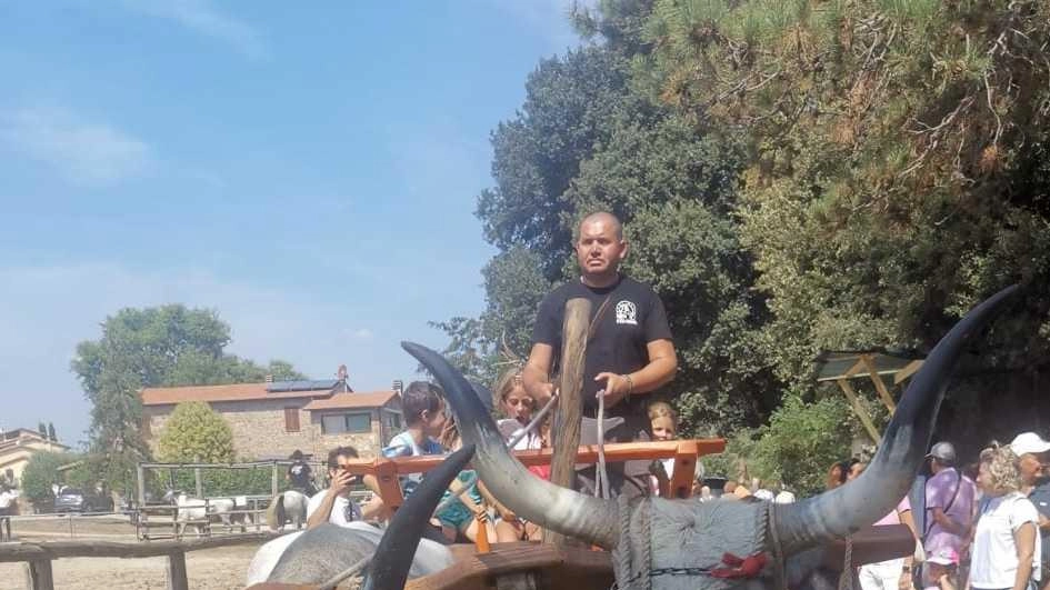 MASSA MARITTIMA È tutto pronto per accogliere l’edizione 2025 della Fiera di Ghirlanda, nel comune di Massa Marittima: domani dalle 9.30... MASSA MARITTIMA È tutto pronto per accogliere l’edizione 2025 della Fiera di Ghirlanda, nel comune di Massa Marittima: domani dalle 9.30...