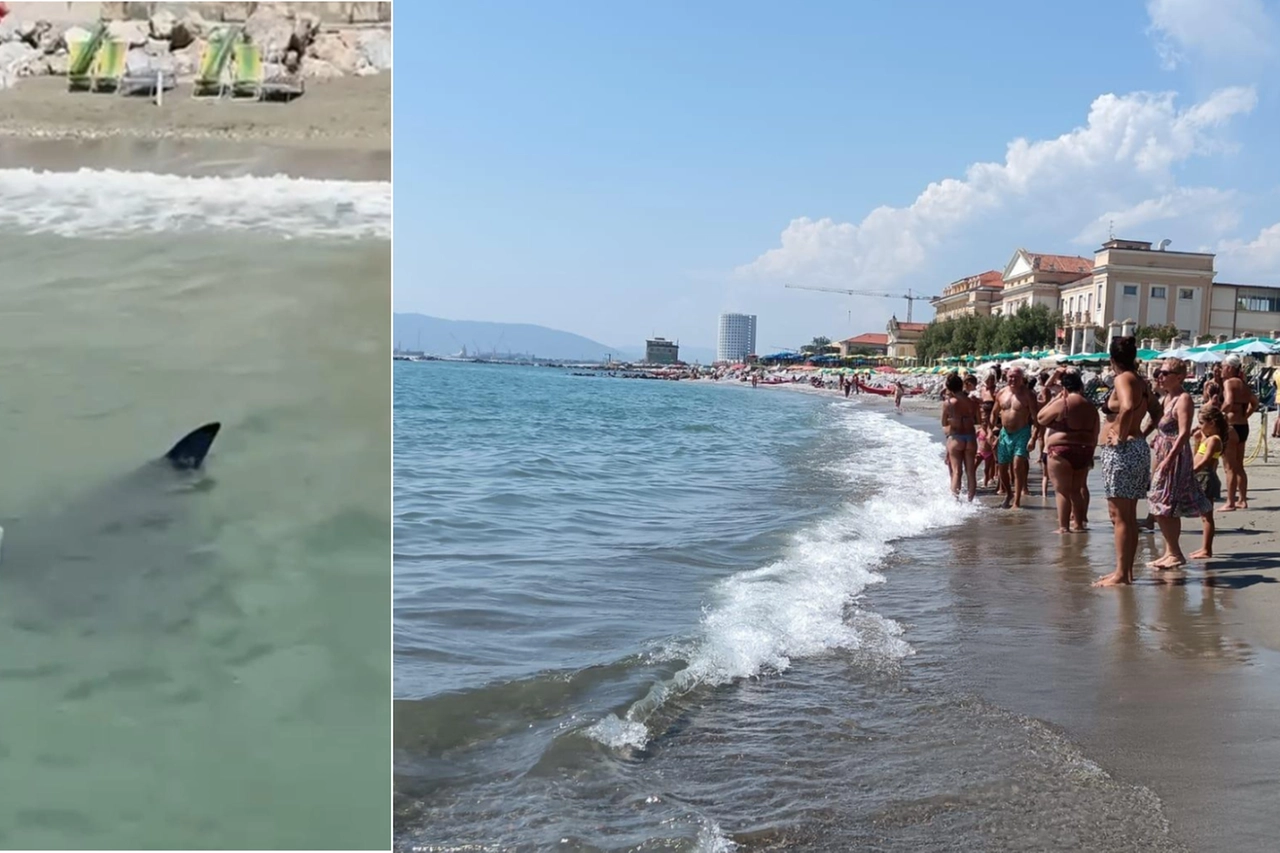 La grande manta nello specchio d’acqua davanti al centro don Gnocchi e al Bagno Marchini