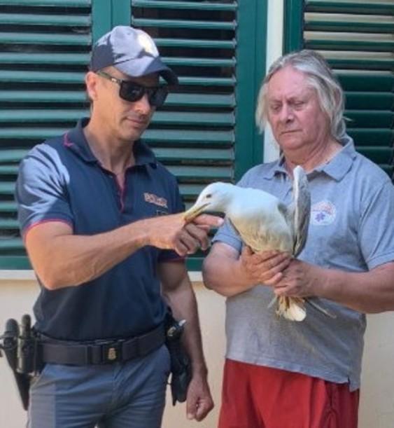 Gabbiano lanciato come una palla. Cinque marocchini denunciati mentre “giocavano“ nel fiume Gabbiano lanciato come una palla. Cinque marocchini denunciati mentre “giocavano“ nel fiume