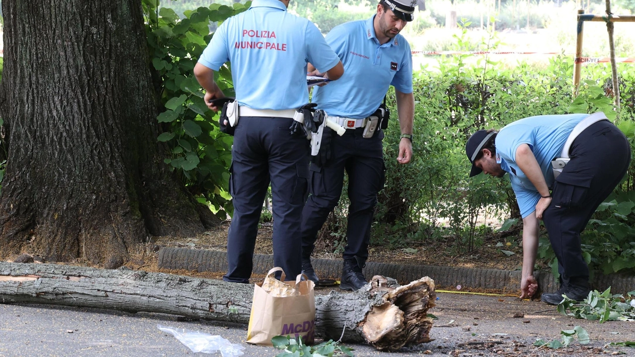 La 24enne era in fila sul viale della Tinaia per entrare alla Visarno Arena quando è stata travolta. Trasportata d’urgenza a Careggi, non è in pericolo di vita. Verifiche del Comune sugli altri alberi. La 24enne era in fila sul viale della Tinaia per entrare alla Visarno Arena quando è stata travolta. Trasportata d’urgenza a Careggi, non è in pericolo di vita. Verifiche del Comune sugli altri alberi.