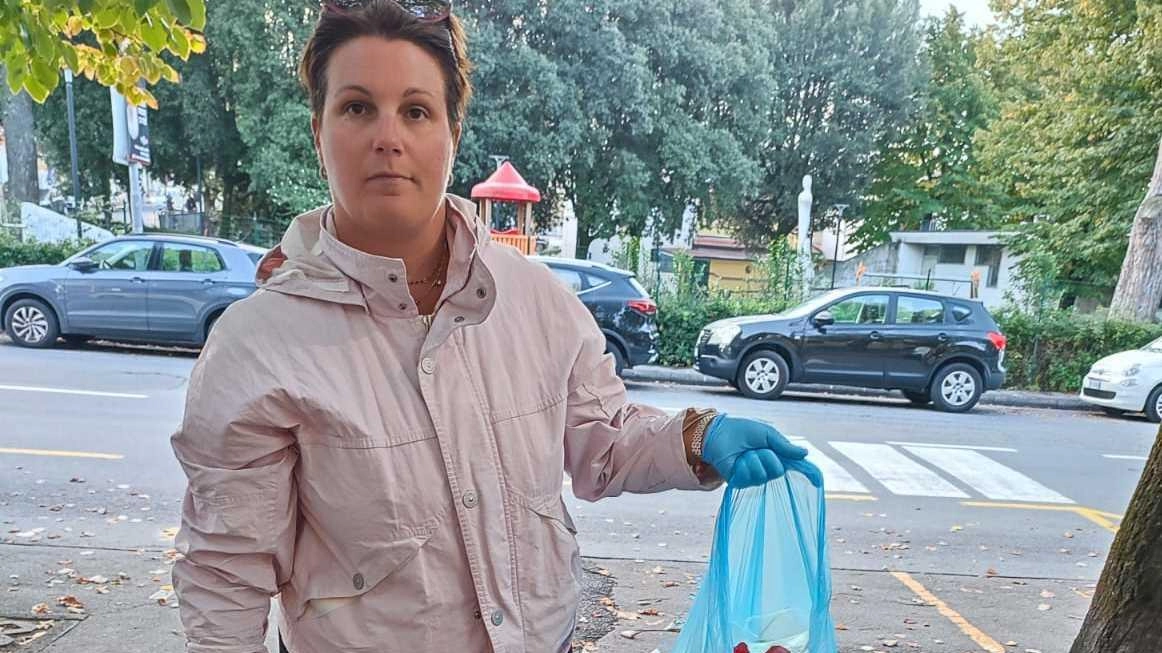 Degrado e sporcizia davanti alla scuola elementare di Avenza preoccupano i genitori, che chiedono intervento per garantire la sicurezza dei propri figli. Siringhe e alcolici abbandonati creano un ambiente poco adatto ai bambini. Degrado e sporcizia davanti alla scuola elementare di Avenza preoccupano i genitori, che chiedono intervento per garantire la sicurezza dei propri figli. Siringhe e alcolici abbandonati creano un ambiente poco adatto ai bambini.