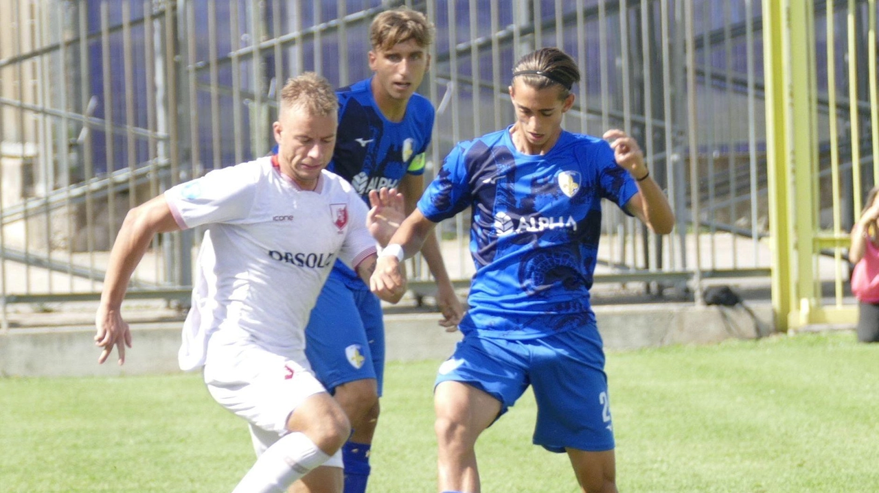 I biancazzurri giocheranno la seconda di campionato contro il Camaiore. La squadra versiliese ha avuto un inizio di stagione molto complicato. I biancazzurri giocheranno la seconda di campionato contro il Camaiore. La squadra versiliese ha avuto un inizio di stagione molto complicato.