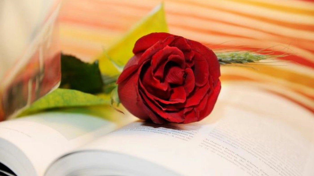 Questa, insieme a San Valentino, è anche la giornata più romantica dell’anno, attesa oltre che dai lettori anche dagli innamorati. Tutto nasce dalla leggenda medievale di Sant Jordi