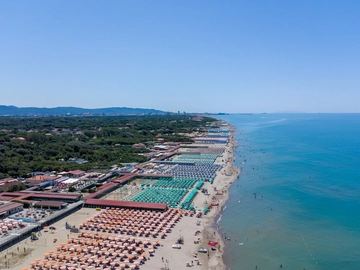 immagine articolo