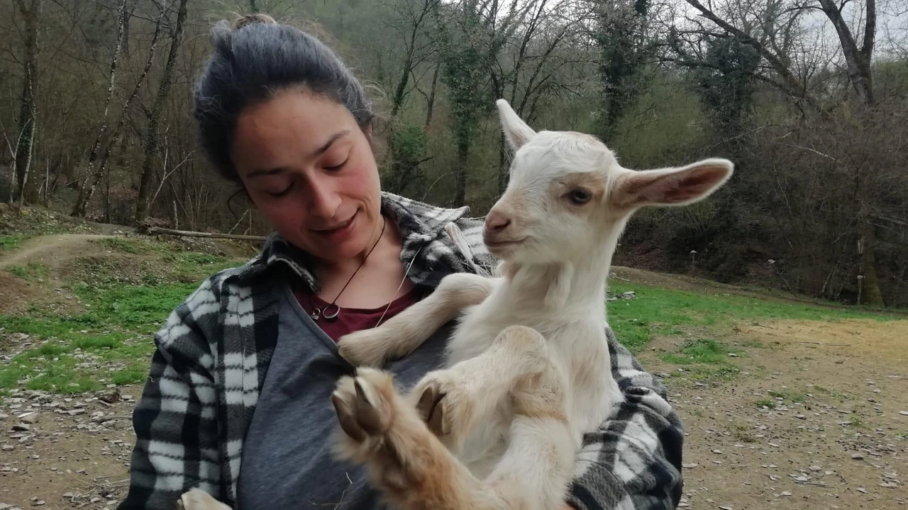 Allegra Adani oggi residente in Casentino. Trentaseienne, dopo aver lasciato il suo lavoro sicuro, ha iniziato a fare tanta esperienza lavorando in un’azienda poi è entrata nella scuola pastori e adesso collabora in un’azienda Allegra Adani oggi residente in Casentino. Trentaseienne, dopo aver lasciato il suo lavoro sicuro, ha iniziato a fare tanta esperienza lavorando in un’azienda poi è entrata nella scuola pastori e adesso collabora in un’azienda
