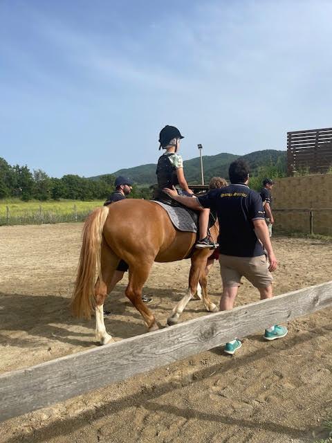 Domenica maggio da Lanazione.it domenica 18 maggio torna la merendata a cavallo alle scuderie edo gori