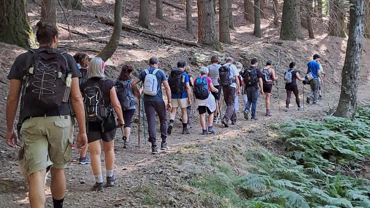Il Centro visite è la «porta» per le escursioni nella Riserva naturale dell’Acquerino Il Centro visite è la «porta» per le escursioni nella Riserva naturale dell’Acquerino