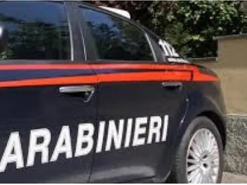 immagine articolo