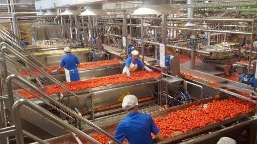 Porte aperte in uno dei più importanti stabilimenti della Maremma. Venerdì 27, dalle 9 alle 12, lo stabilimento di Conserve... Porte aperte in uno dei più importanti stabilimenti della Maremma. Venerdì 27, dalle 9 alle 12, lo stabilimento di Conserve...