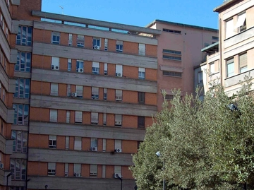 immagine articolo