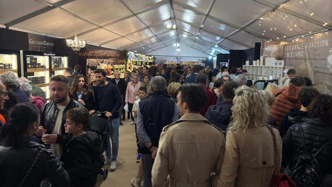 Gli stand al coperto allestiti per la grande mostra tifernate Il Salone del Tartufo bianco è un’eccellenza nazionale del settore Gli stand al coperto allestiti per la grande mostra tifernate Il Salone del Tartufo bianco è un’eccellenza nazionale del settore