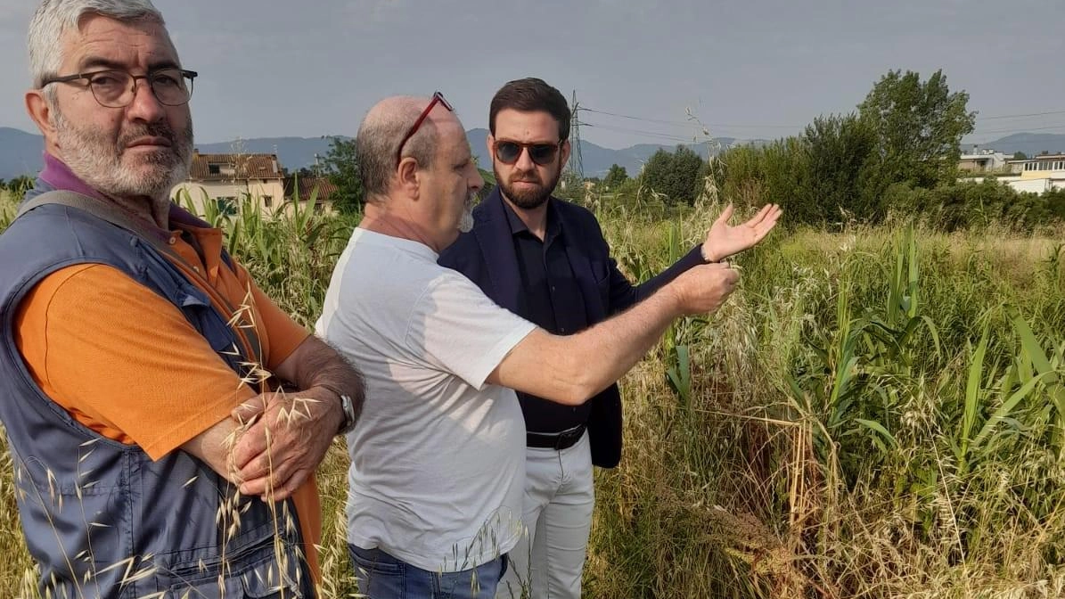 Il sindaco di Agliana, Luca Benesperi, durante il sopralluogo di alcuni giorni fa. sull’argine del Calice insieme ad alcuni cittadini Il sindaco di Agliana, Luca Benesperi, durante il sopralluogo di alcuni giorni fa. sull’argine del Calice insieme ad alcuni cittadini