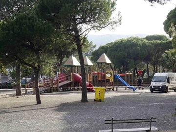 immagine articolo