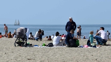 Sotto il sole di novembre. Picnic e tuffi sulla spiaggia per il Ponte di Ognissanti