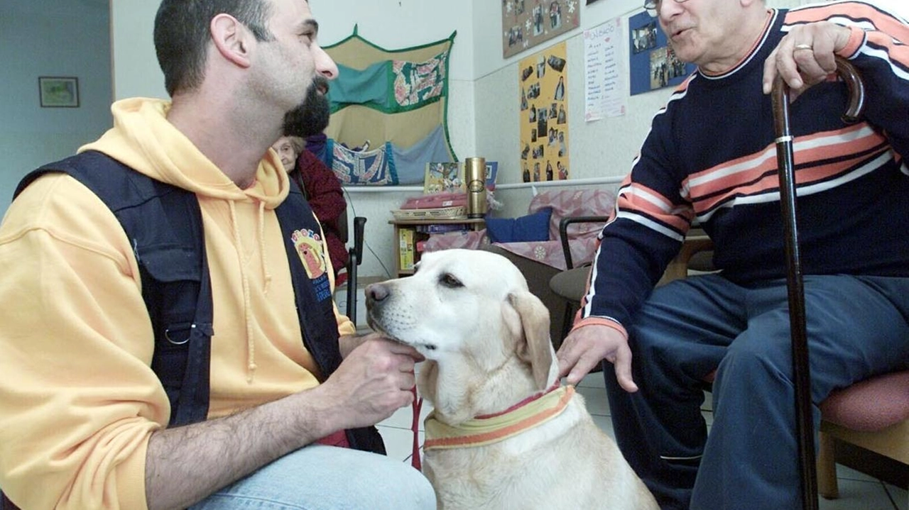 A Firenze il 35% degli over 75 ha un cane o un gatto A Firenze il 35% degli over 75 ha un cane o un gatto