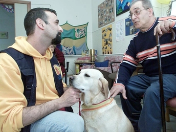 immagine articolo