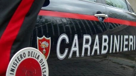L'indagine dei carabinieri (Foto Ansa)