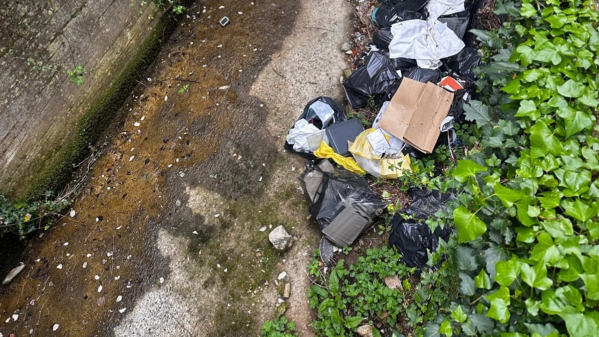 Una parte dei rifiuti trascinati dalla corrente all’interno del torrente Caporacca nella zona di Campiglia