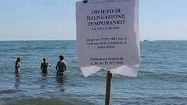 I cartelli con il divieto ieri sono comparsi a Marina di Pietrasanta, Forte dei Marmi e Lido di Camaiore I cartelli con il divieto ieri sono comparsi a Marina di Pietrasanta, Forte dei Marmi e Lido di Camaiore