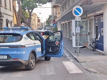 immagine articolo